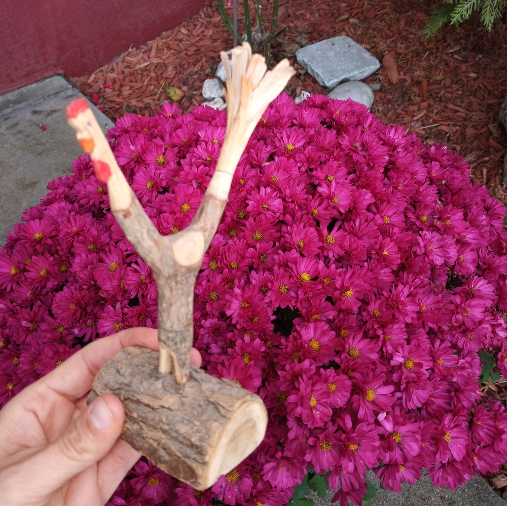 Handmade Chicken